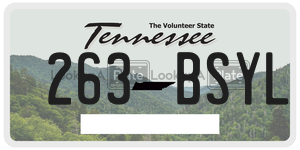 263BSYL  license plate in TN