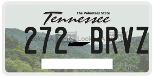 272BRVZ  license plate in TN