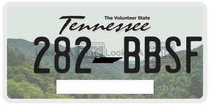 282BBSF  license plate in TN