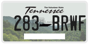 283BRWF  license plate in TN