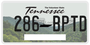 286BPTD  license plate in TN