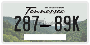 28789K  license plate in TN