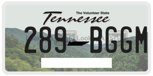 289BGGM license plate in Tennessee