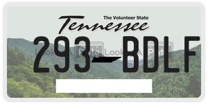 293BDLF  license plate in TN