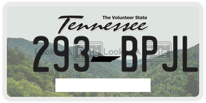 293BPJL  license plate in TN