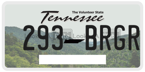 293BRGR  license plate in TN