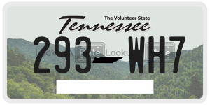 293WH7  license plate in TN