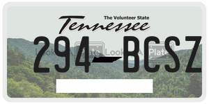 294BCSZ  license plate in TN