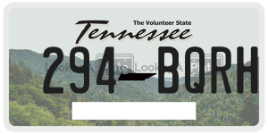 294BQRH  license plate in TN