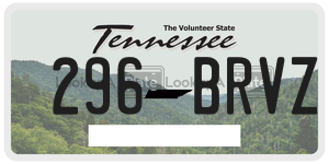 296BRVZ  license plate in TN
