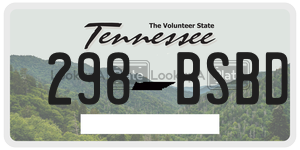 298BSBD  license plate in TN