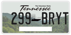 299BRYT  license plate in TN