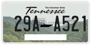 29AA521  license plate in TN