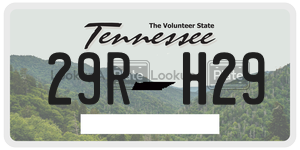 29RH29  license plate in TN