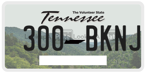 300BKNJ  license plate in TN