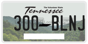 300BLNJ  license plate in TN