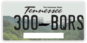 300BQRS  license plate in TN