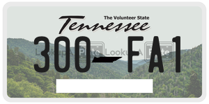 300FA1  license plate in TN