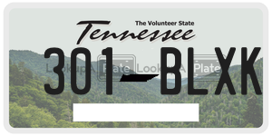301BLXK  license plate in TN
