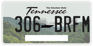 306BRFM  license plate in TN