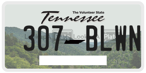 307BLWN  license plate in TN