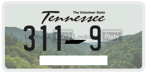 3119  license plate in TN