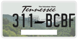 311BCBF  license plate in TN