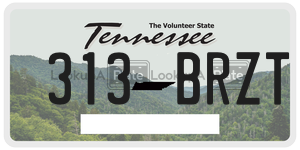 313BRZT  license plate in TN