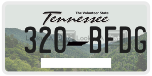 320BFDG  license plate in TN