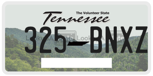 325BNXZ  license plate in TN