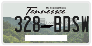 328BDSW  license plate in TN