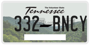 332BNCY  license plate in TN