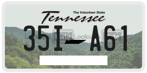 35IA61  license plate in TN