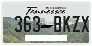 363BKZX  license plate in TN