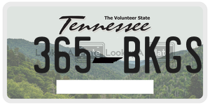365BKGS  license plate in TN
