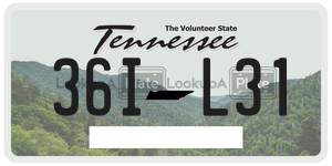 36IL31  license plate in TN