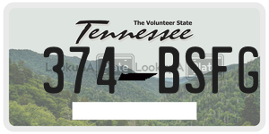 374BSFG  license plate in TN