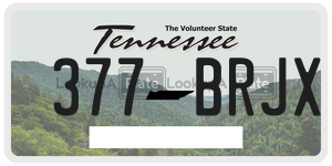 377BRJX  license plate in TN