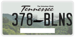 378BLNS license plate in Tennessee