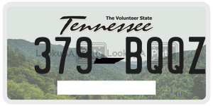 379BQQZ  license plate in TN