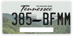 385BFMM  license plate in TN