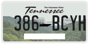 386BCYH  license plate in TN