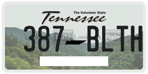 387BLTH  license plate in TN