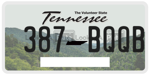 387BQQB  license plate in TN