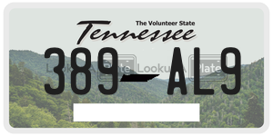 389AL9  license plate in TN