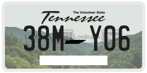 38MY06  license plate in TN