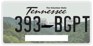 393BGPT  license plate in TN