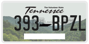 393BPZL  license plate in TN