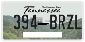 394BRZL  license plate in TN