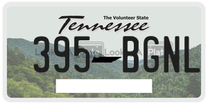 395BGNL  license plate in TN